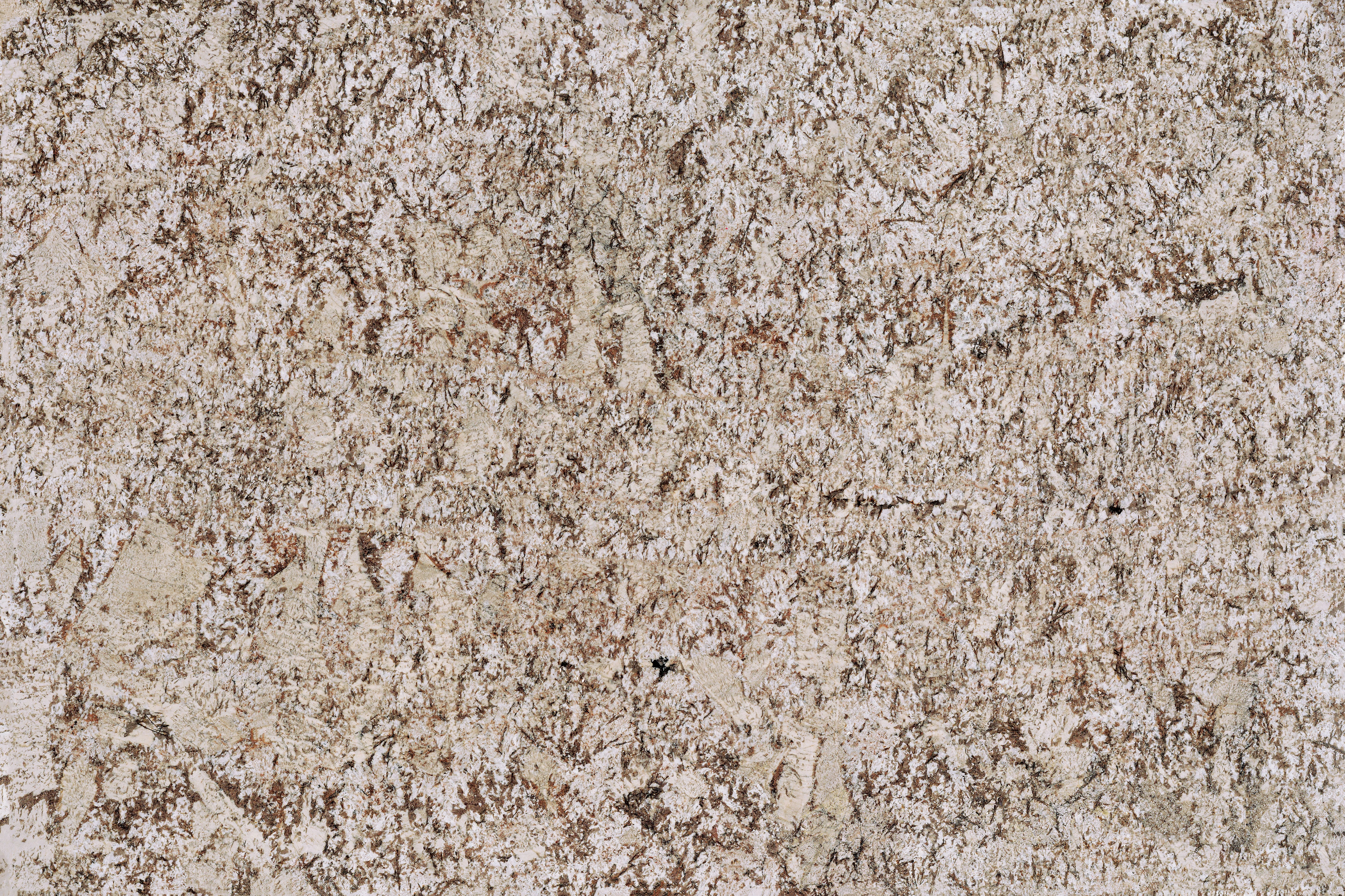 Bianco Antico granite full slab