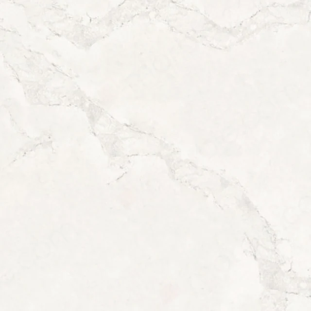 Calacatta Nuvo full slab