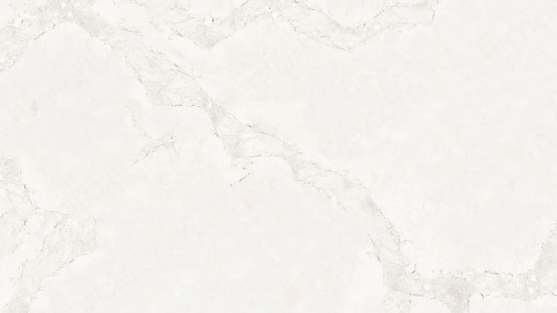 Calacatta Nuvo quartz full slab